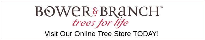 mpf bowernbranch long logo