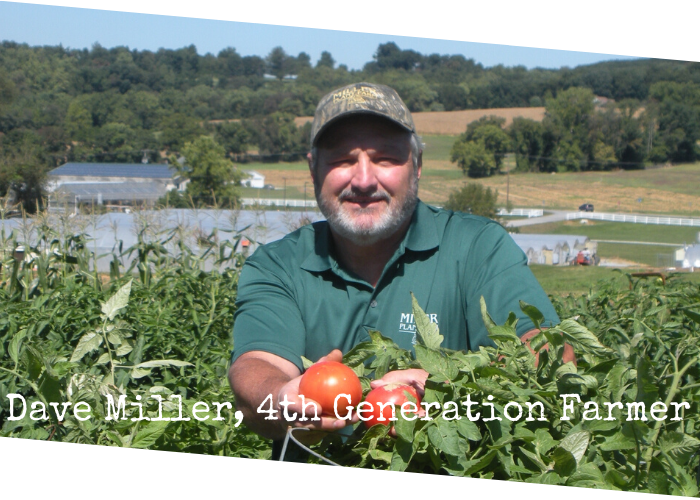 Dave Miller 4th Generation Farmer 1
