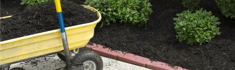 Mulch website header