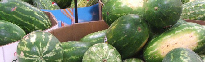 mpfg101-melons2