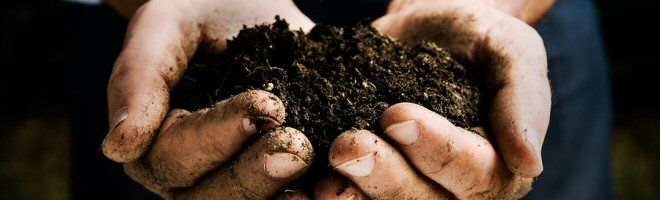 mpfg101-soil