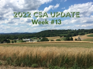 2022 CSA Week #13 Update