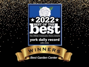 Best Garden Center for Second Year in York, PA