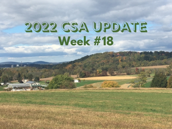 2022 CSA Week #18 Update
