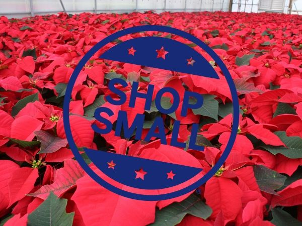 Small Business Saturday®