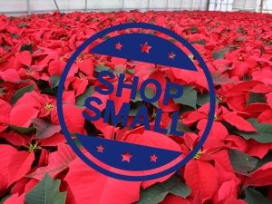 Small Business Saturday®