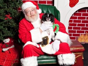 BARk Christmas at the Farm