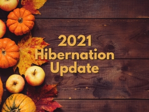 2021 Hibernation Share Update