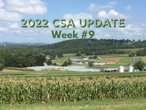 2022 CSA Week #9 Update