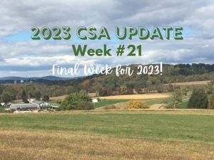 2023 CSA Week #21 Update