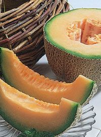 Burpee Hybrid Cantaloupe