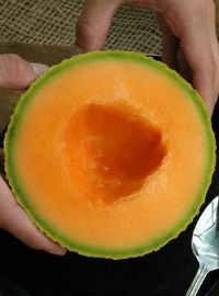 Sugar Cube Hybrid Cantaloupe