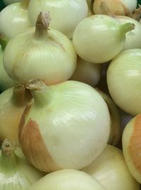 Candy Sweet Onion