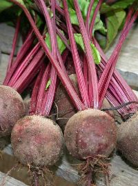 Beets