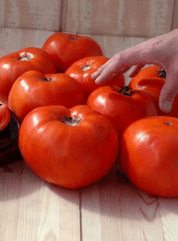 Scarlet Red Tomato