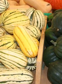 Winter Squash