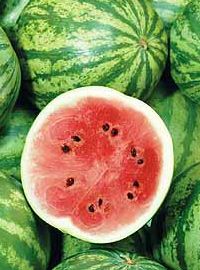 Watermelons