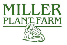 Miller Plant Farm